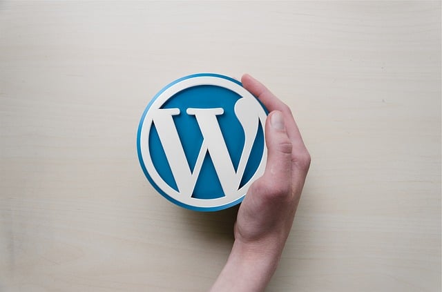 10 wtyczek do Wordpressa pomagających w pozycjonowaniu strony